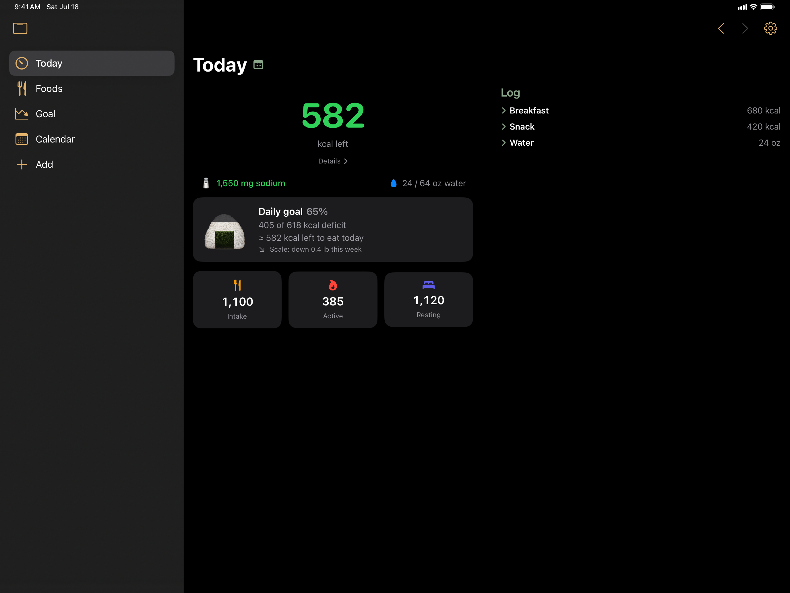 Today on iPad: sidebar navigation with the summary beside the log
