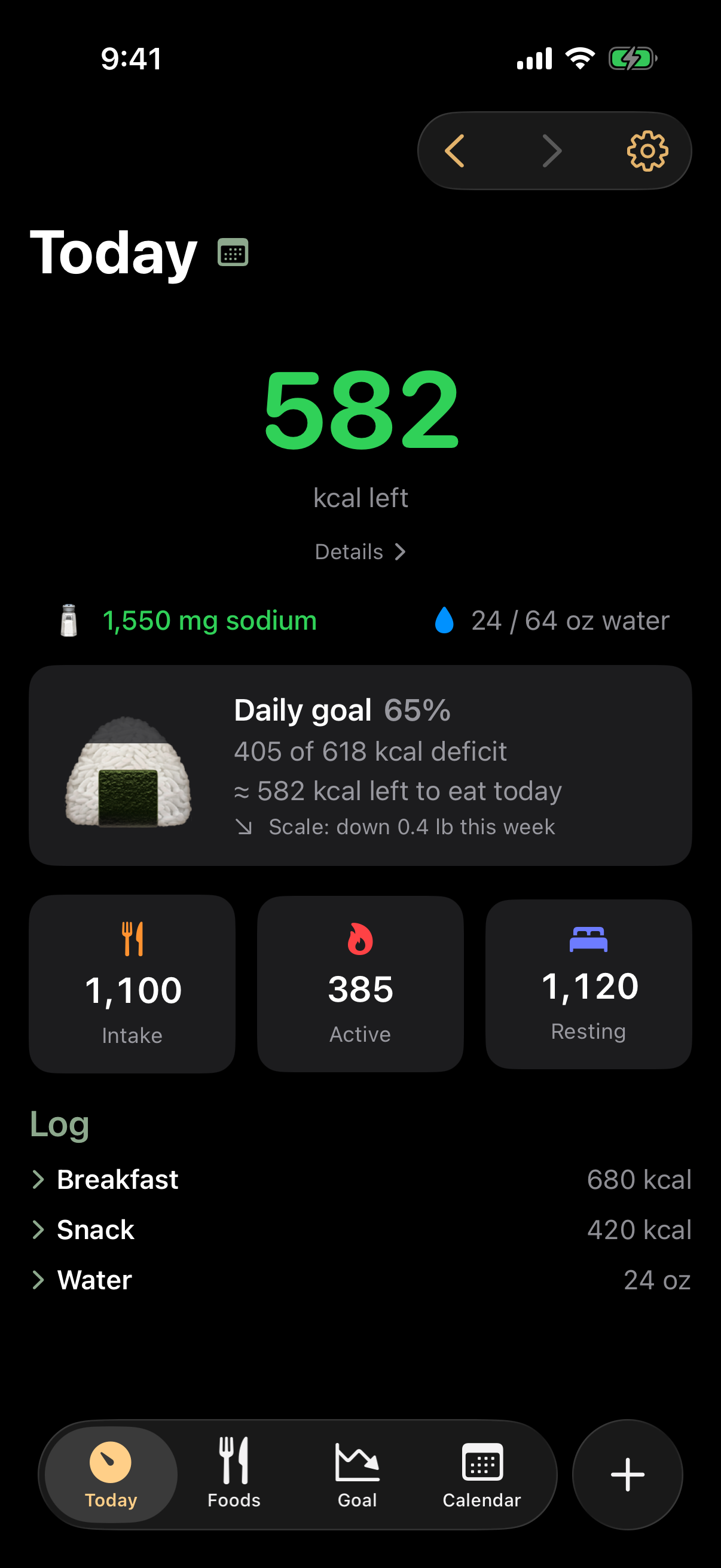 The Today screen: calorie balance headline, sodium and water, the daily goal gauge, energy meters, and the log